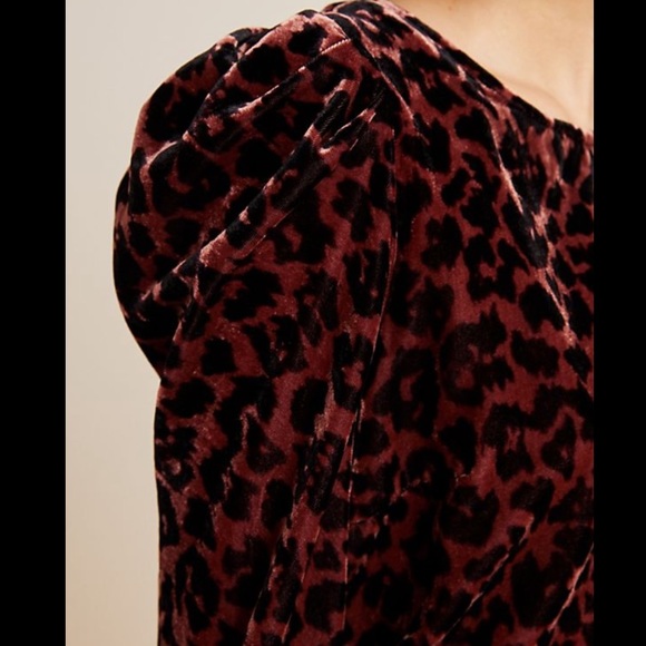 NWT Dolan  leopard print velvet blouse - Picture 4 of 8